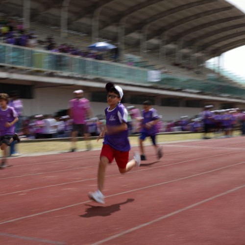 Arena Esportiva de VR oferece corrida e caminhada orientada por profissionais de Educação Física